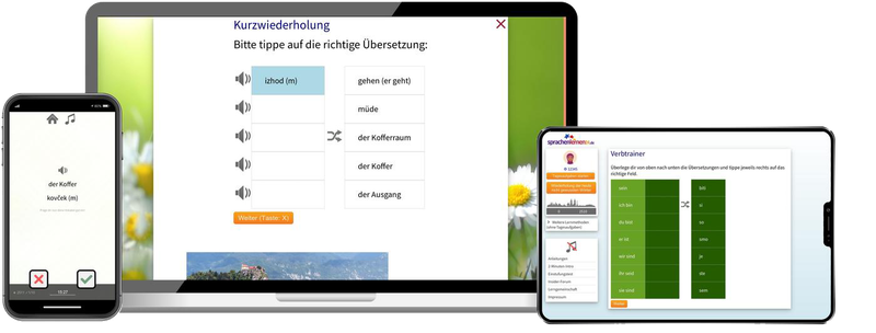 Business-Slowenisch (B2/C1) - Onlinekurs