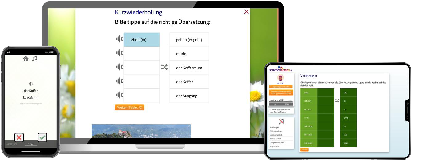 Slowenisch Business Sprachkurs B2 C1 Onlinekurs für Beruf und Karriere