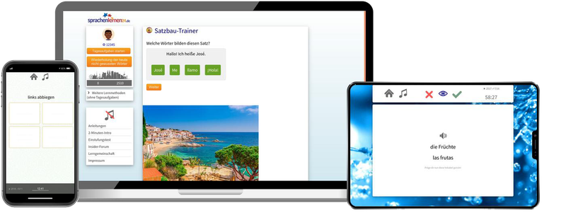 Spanisch-Fachwortschatz (C1/C2) + Audiotrainer - Onlinekurs