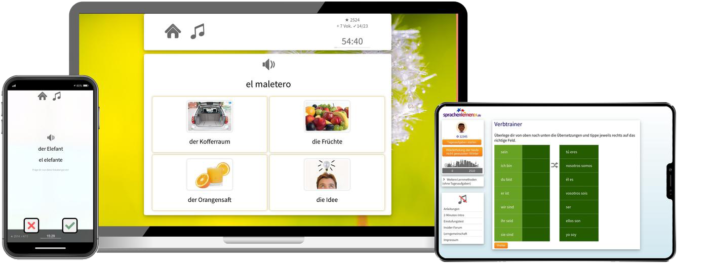 Business-Spanisch (B2/C1) - Onlinekurs