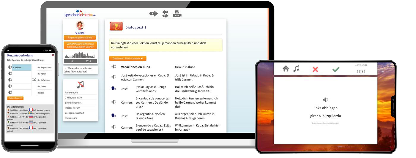 Spanisch (Südamerika) Fachwortschatz C1 C2 Onlinekurs für Fortgeschrittene und Beruf