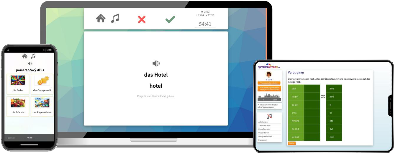 Business-Tschechisch (B2/C1) - Onlinekurs Tschechisch Business Sprachkurs B2 C1 Onlinekurs für Beruf und Karriere