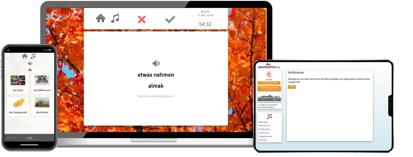 Business-Türkisch (B2/C1) - Onlinekurs