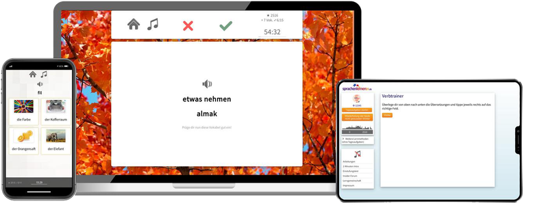 Business-Türkisch (B2/C1) - Onlinekurs