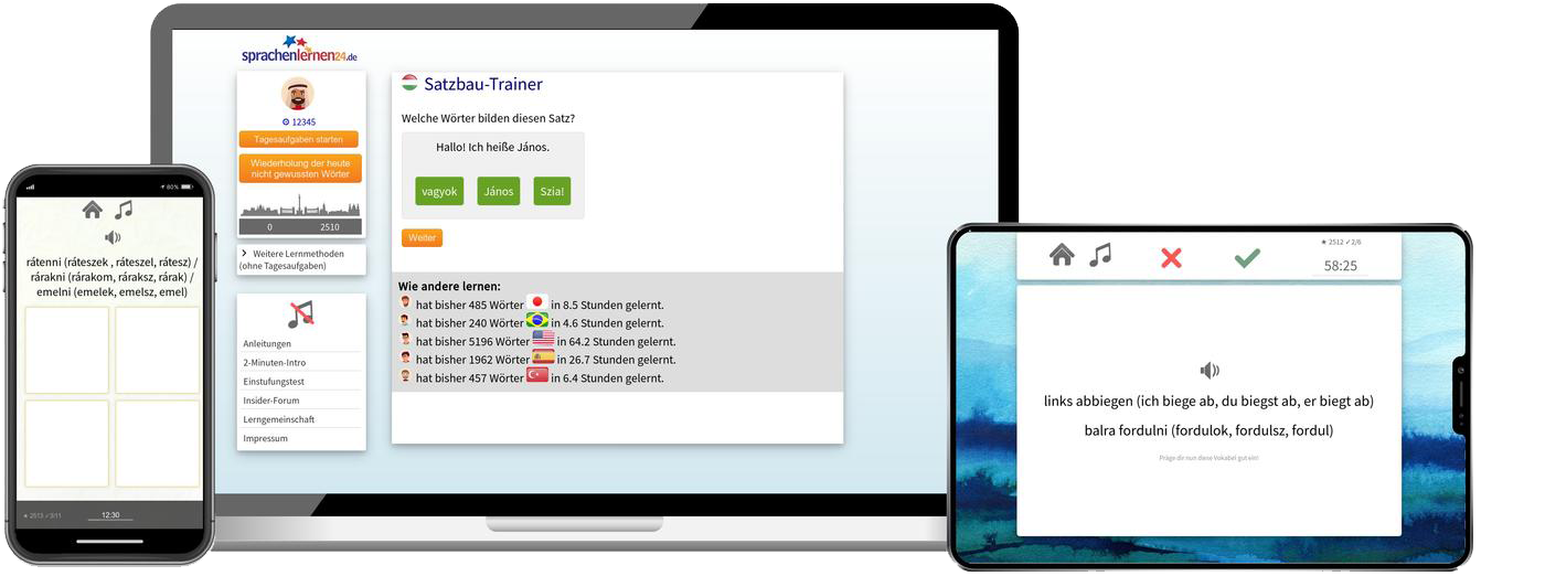 Ungarisch-Fachwortschatz (C1/C2) + Audiotrainer - Onlinekurs