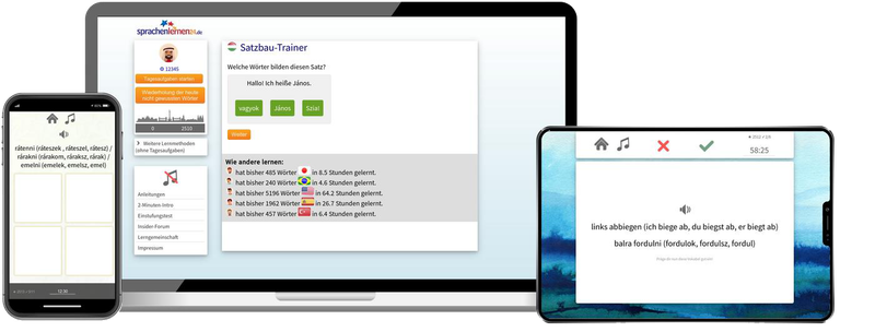 Ungarisch-Fachwortschatz (C1/C2) + Audiotrainer - Onlinekurs
