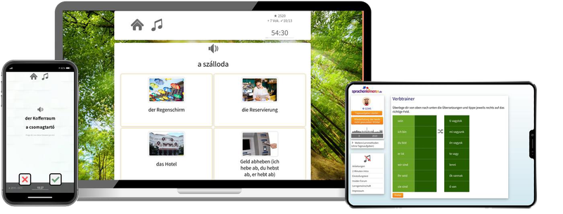 Business-Ungarisch(B2/C1) - Onlinekurs