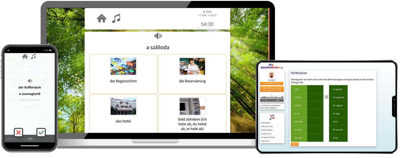 Business-Ungarisch(B2/C1) - Onlinekurs Ungarisch Business Sprachkurs B2 C1 Onlinekurs für Beruf und Karriere