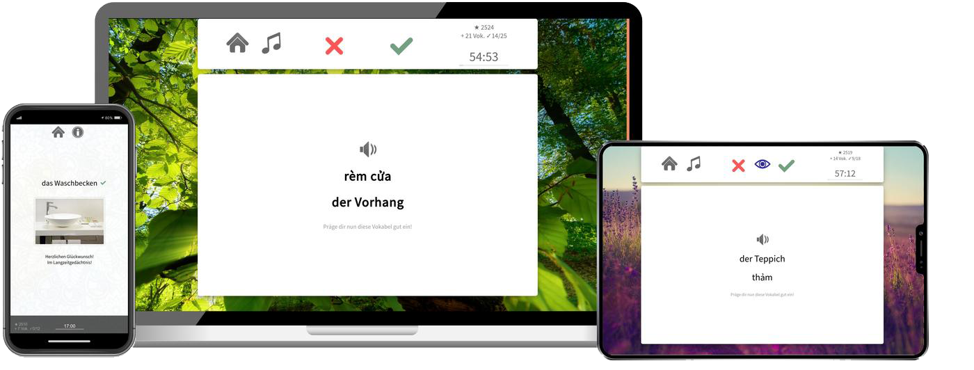 Vietnamesisch-Aufbaukurs (B1/B2) + Audiotrainer - Onlinekurs
