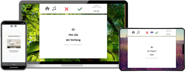 Vietnamesisch-Aufbaukurs (B1/B2) + Audiotrainer - Onlinekurs