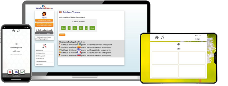 Vietnamesisch-Fachwortschatz (C1/C2) + Audiotrainer - Onlinekurs