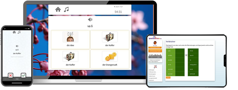 Business-Vietnamesisch(B2/C1) - Onlinekurs