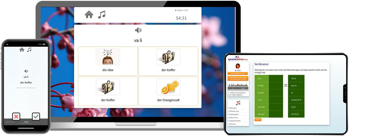 Business-Vietnamesisch(B2/C1) - Onlinekurs Vietnamesisch Business Sprachkurs B2 C1 Onlinekurs für Beruf und Karriere