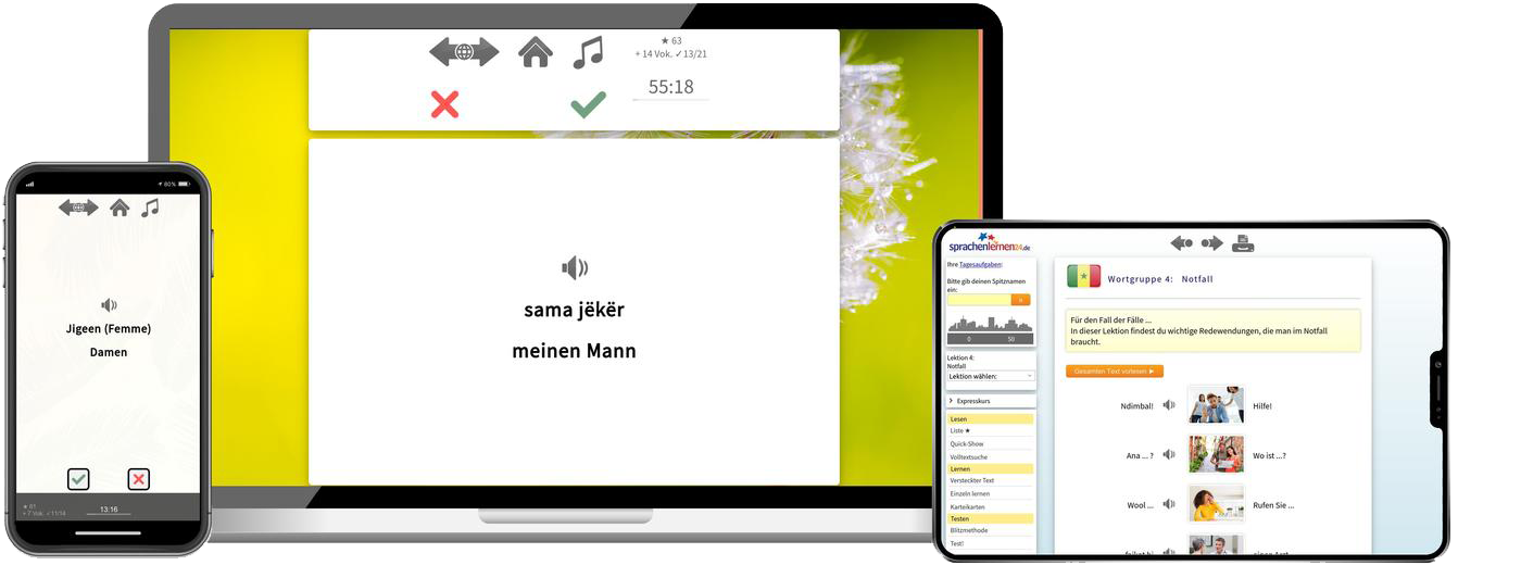 Wolof Expresskurs A1 Onlinekurs mit Audiotrainer für Anfänger und Reisen