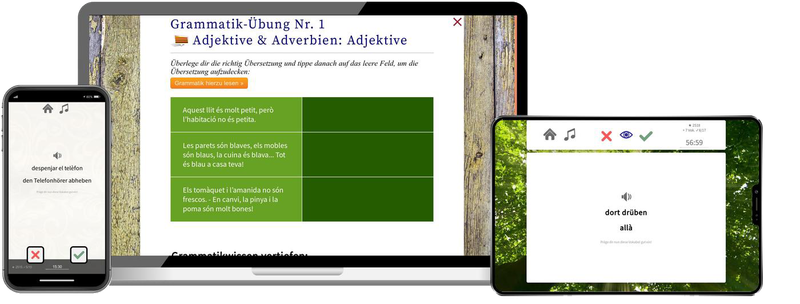 Deutsch lernen für Katalanen-Basiskurs (A1/A2) + Audiotrainer - Onlinekurs Deutsch lernen für Katalanen-Basiskurs (A1/A2) + Audiotrainer - Onlinekurs