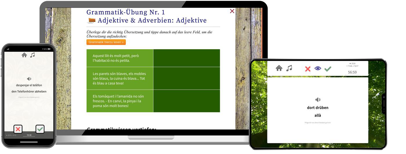 Deutsch lernen für Katalanen-Basiskurs (A1/A2) + Audiotrainer - Onlinekurs Deutsch lernen für Katalanen Basiskurs A1 A2 Onlinekurs für Anfänger