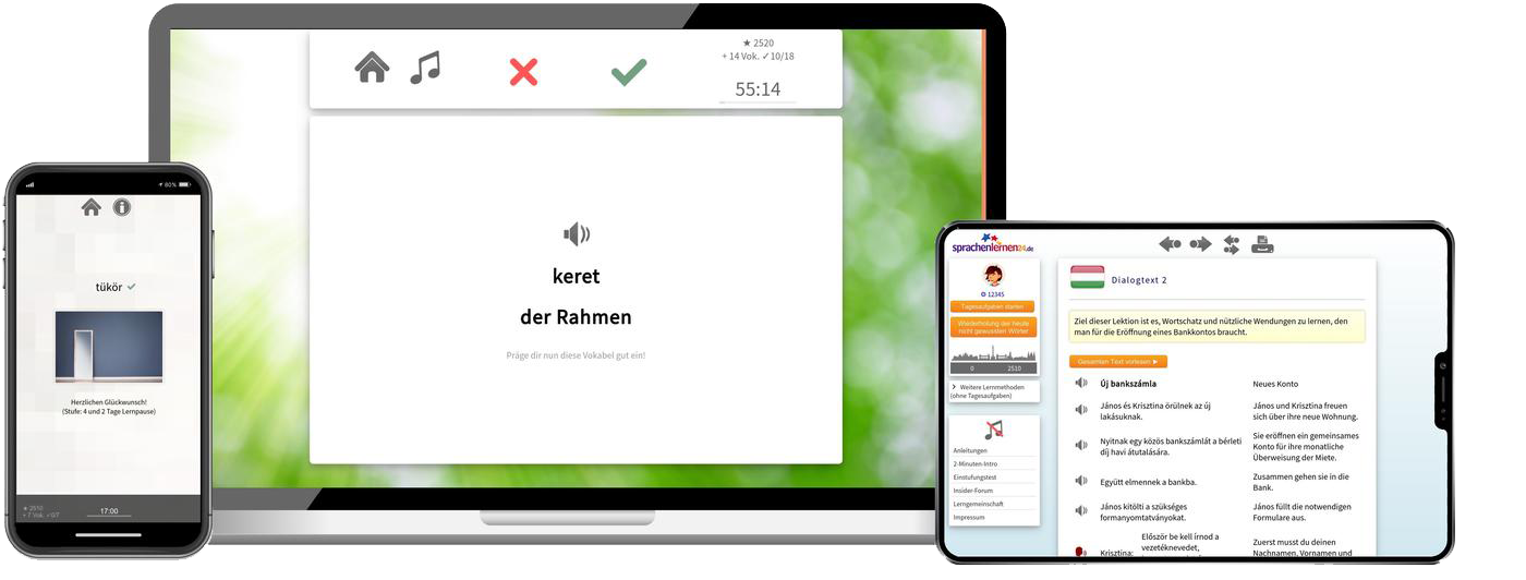Deutsch lernen für Ungarn Basiskurs A1 A2 Onlinekurs für Anfänger