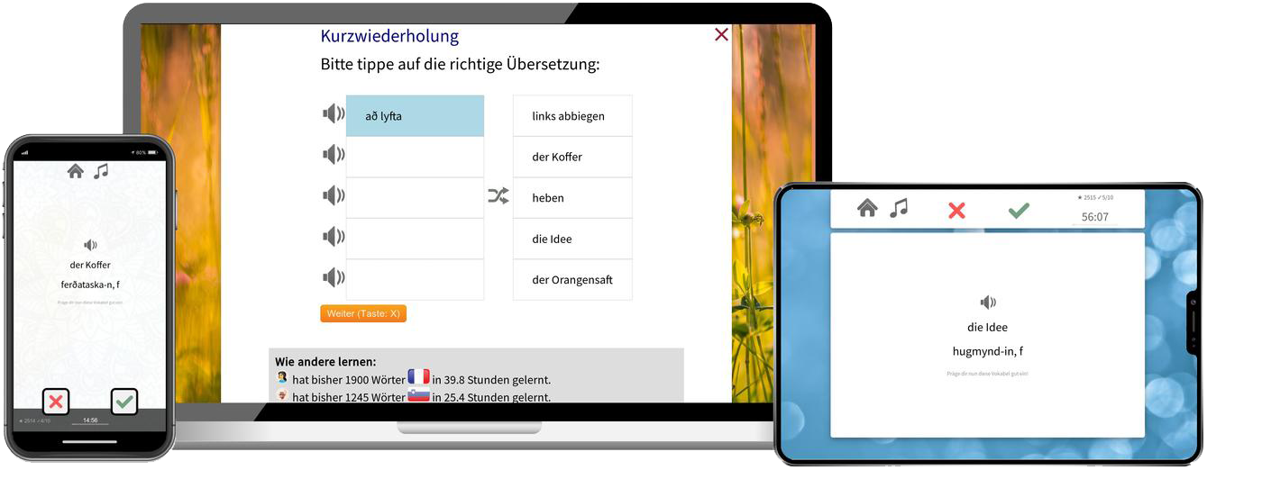 Isländisch Basiskurs A1 A2 Onlinekurs mit Audiotrainer für Anfänger