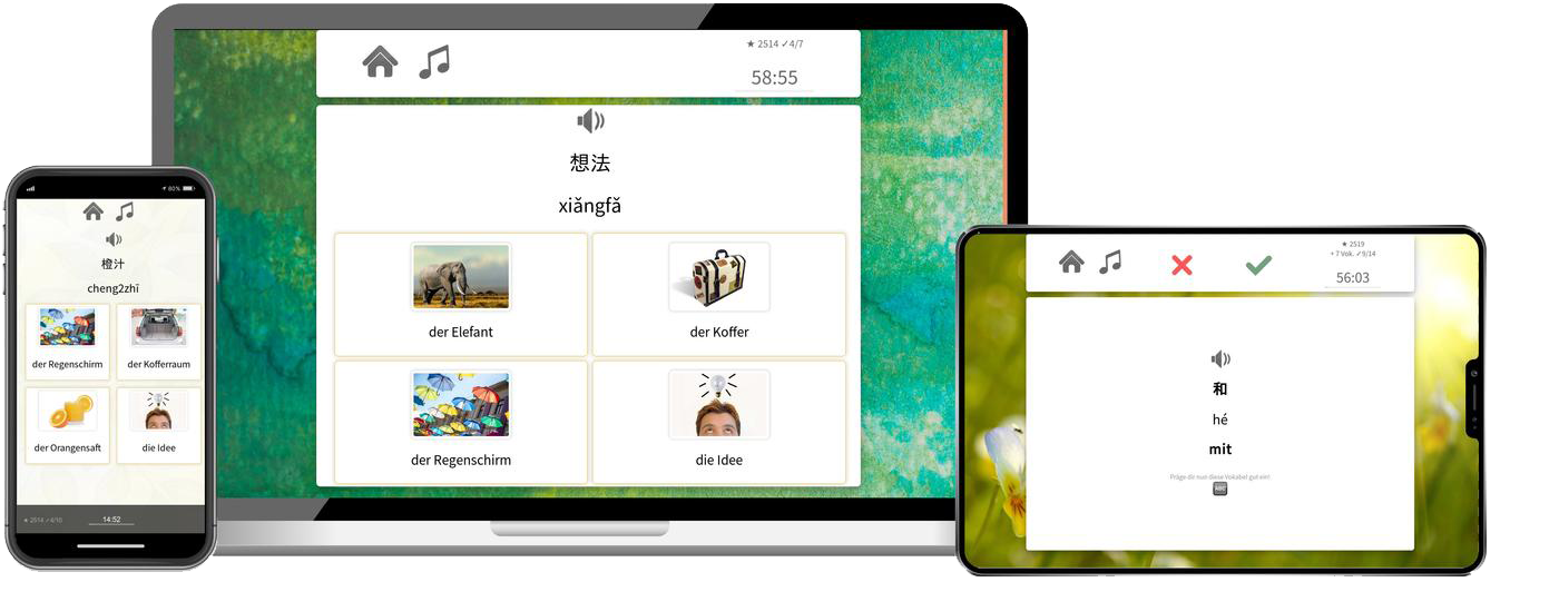Chinesisch Basiskurs A1 A2 Onlinekurs mit Audiotrainer für Anfänger