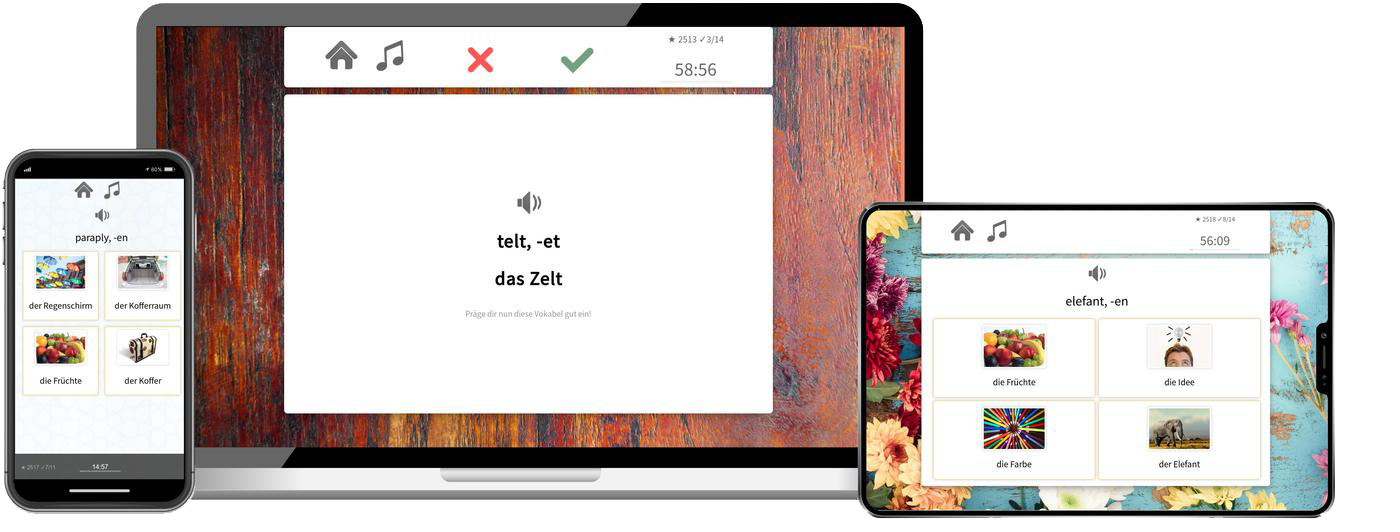 Dänisch Basiskurs A1 A2 Onlinekurs mit Audiotrainer für Anfänger