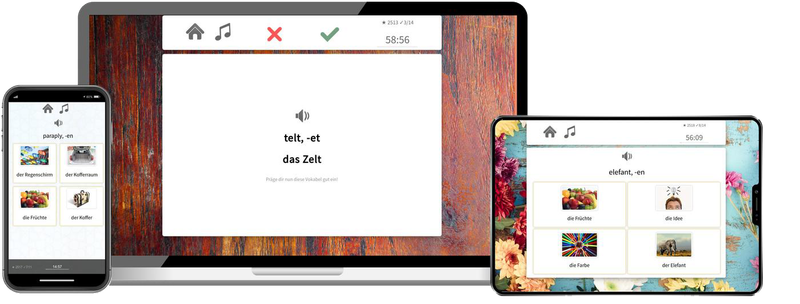 Dänisch-Basiskurs (A1/A2) + Audiotrainer - Onlinekurs