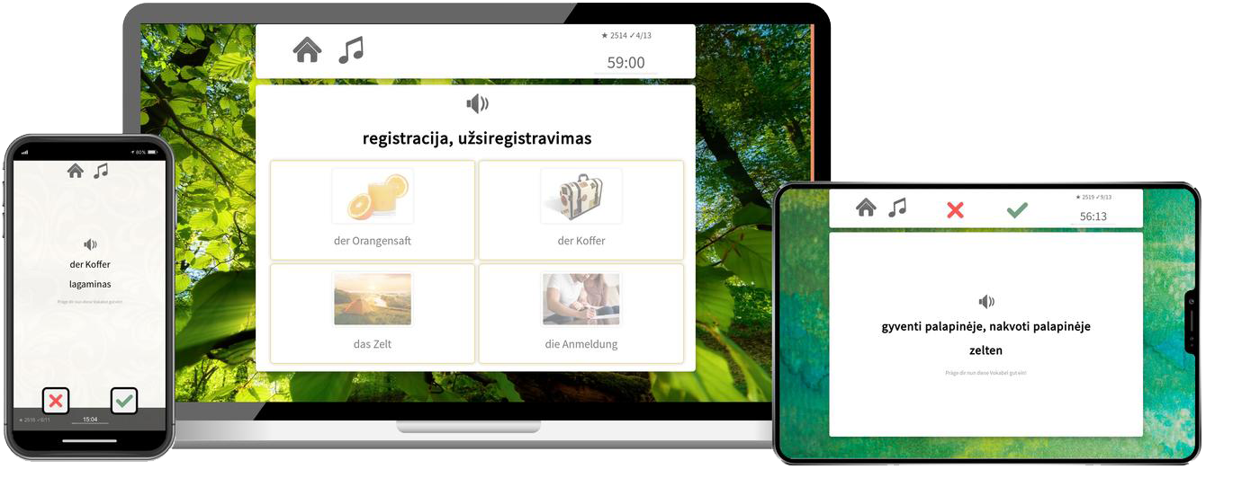 Litauisch-Basiskurs (A1/A2) + Audiotrainer - Onlinekurs Litauisch Basiskurs A1 A2 Onlinekurs mit Audiotrainer für Anfänger