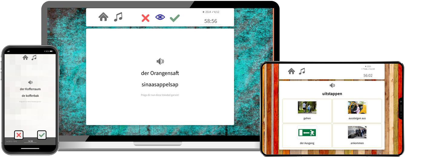 Niederländisch Basiskurs A1 A2 Onlinekurs mit Audiotrainer für Anfänger