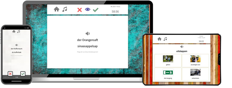 Niederländisch-Basiskurs (A1/A2) + Audiotrainer - Onlinekurs