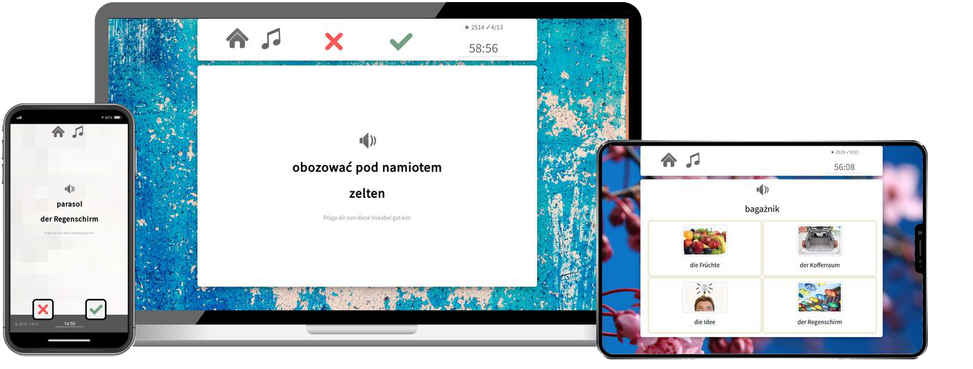 Polnisch Basiskurs A1 A2 Onlinekurs mit Audiotrainer für Anfänger
