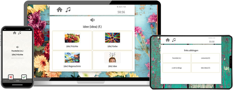 Rumänisch Basiskurs A1 A2 Onlinekurs mit Audiotrainer für Anfänger