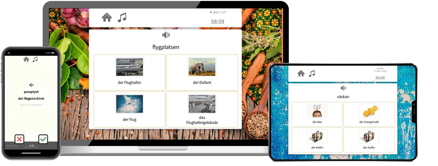 Schwedisch Basiskurs A1 A2 Onlinekurs mit Audiotrainer für Anfänger