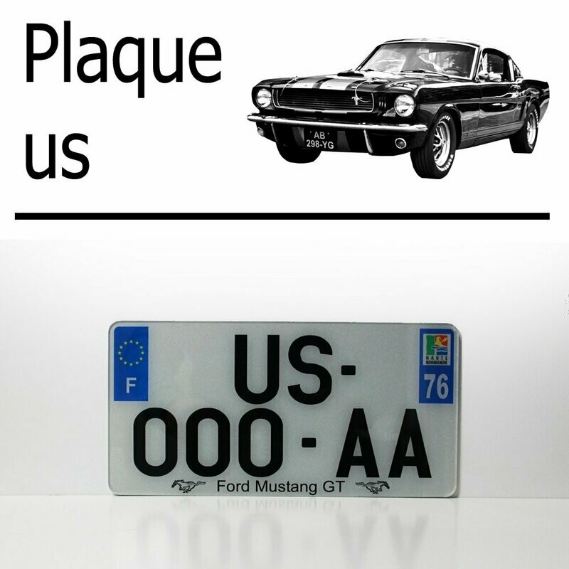 Plaque US