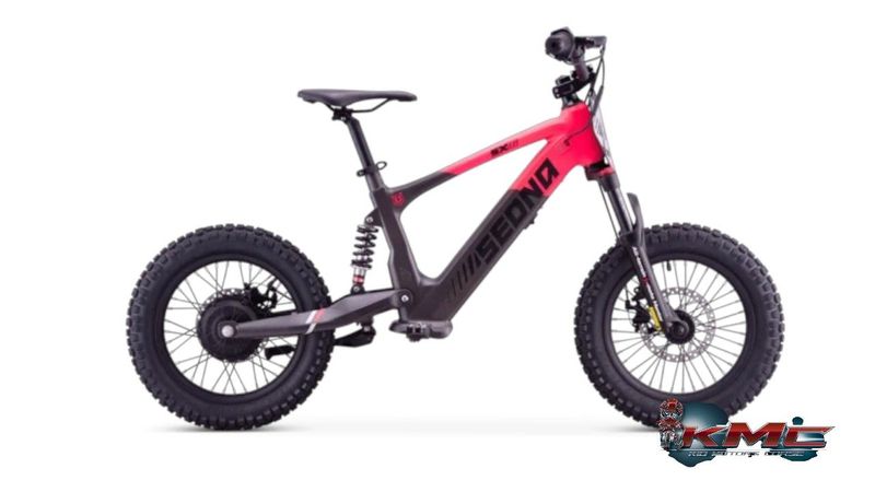 DRAISIENNE Électrique 18 Pouces SEDNA SX 500W