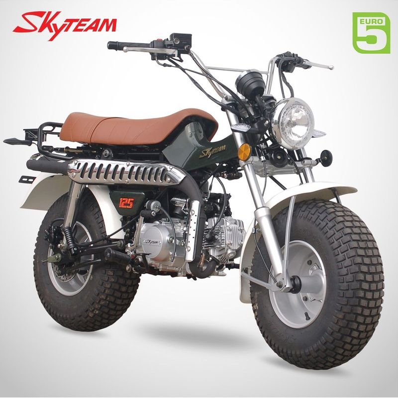 Moto T-REX 125cc - SKYTEAM - Vert