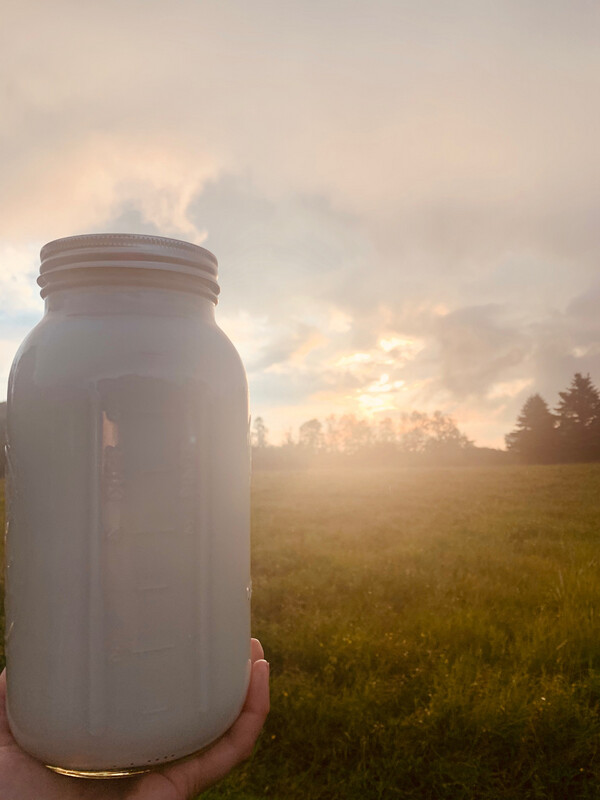 Goat Milk - Fresh - One Quart