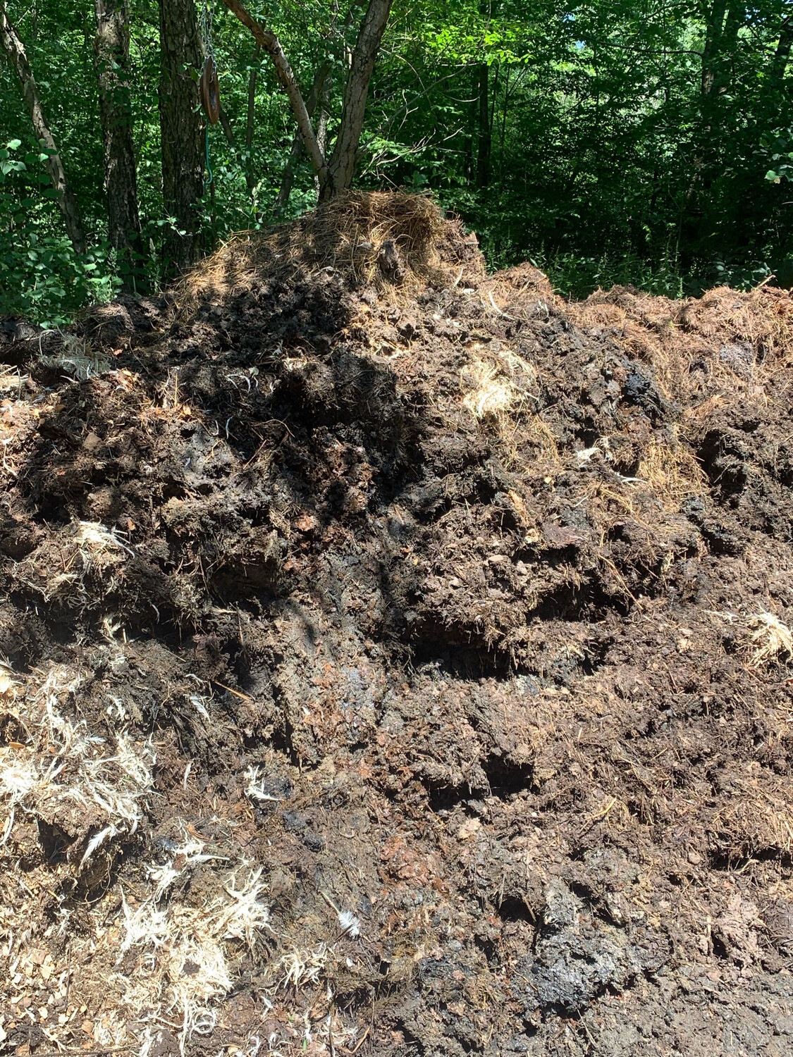 Compost - Tractor Scoop Approx .3 Cu Yd