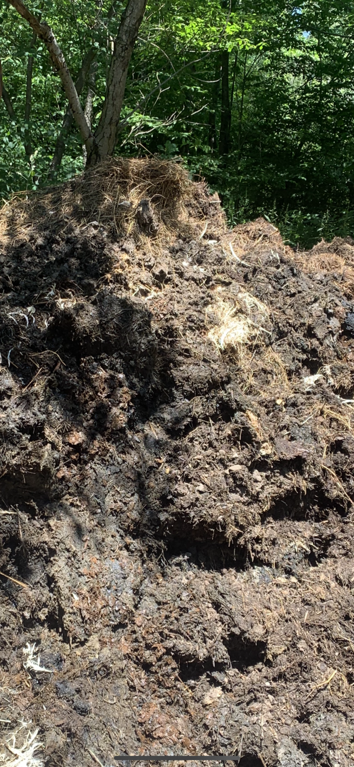 Compost - Bagged or Tractor Scoop