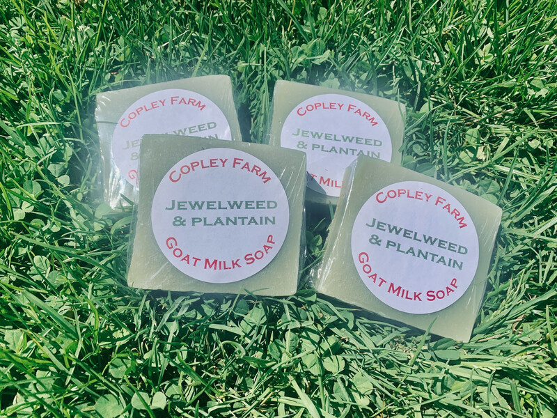 Goat Milk Jewelweed &amp; Plantain Soap