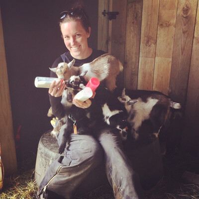 Goat Kid Cuddle Session