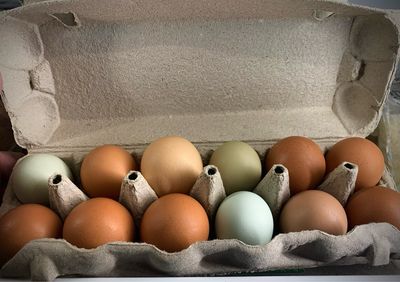 Pasture Raised - Free Range - Farm Fresh Eggs - 1 Dozen (12)