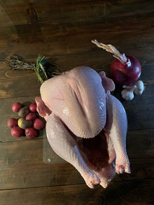 Whole Turkey NON-GMO, Pasture Raised - Frozen