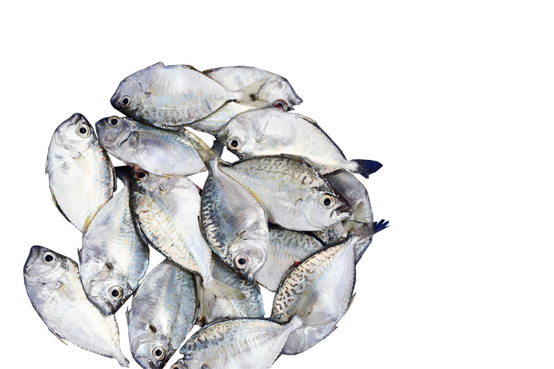 Sapsap per 500g