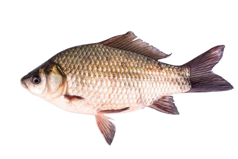 Salay-Salay per 500g