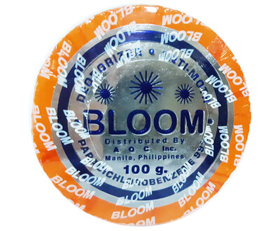 Bloom Deodorizer Orange Refill 100g