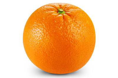 JED Seedless Orange #113