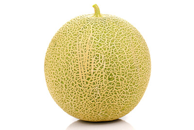 JED Honeymelon