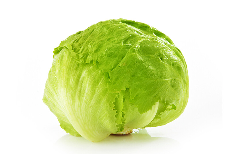 Millenium Baguio Lettuce