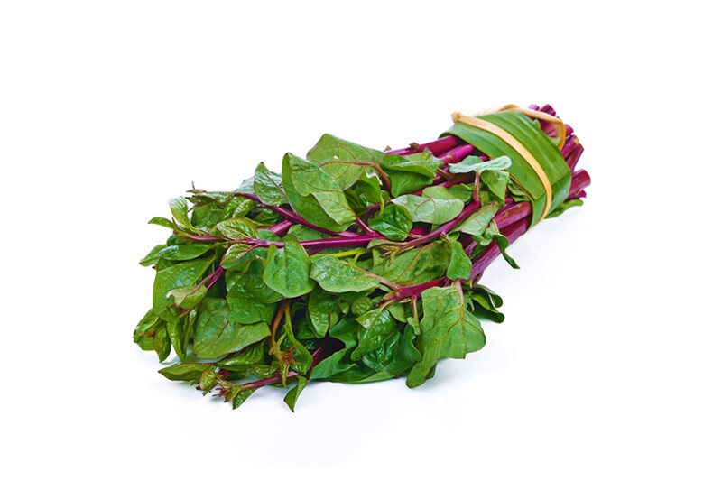 Global Fresh Alugbati