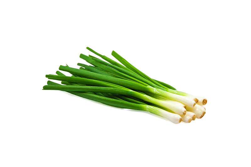 Global Fresh Spring Onion
