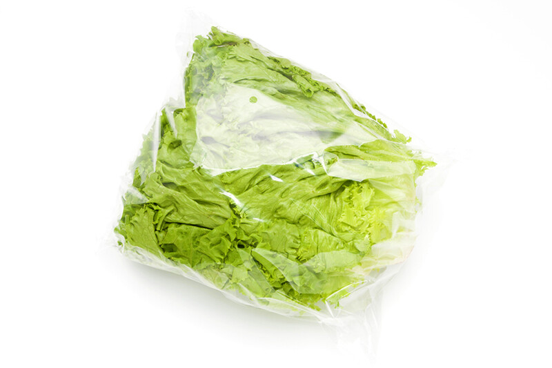 Global Green Lettuce